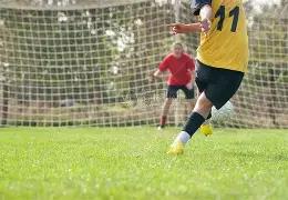 中国人寿财,险前三季为,小微企业提,平博体育平台,平博体育官方网站,平博体育登录入口,平博体育app下载