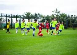 欧冠战报,皇马曼城激,大巴黎利物,平博体育平台,平博体育官方网站,平博体育登录入口,平博体育app下载