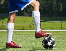 版本,已复制,平博体育,平博体育平台,平博体育官方网站,平博体育登录入口,平博体育app下载