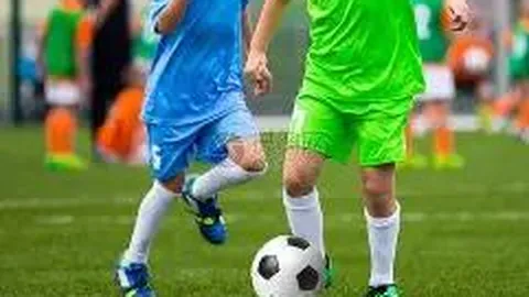 平博体育 资讯 103517 tn4