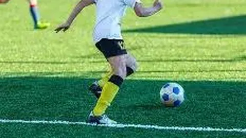 平博体育 资讯 123716 v10