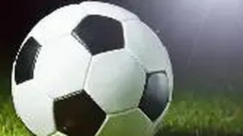 平博体育 资讯 124739 u5e