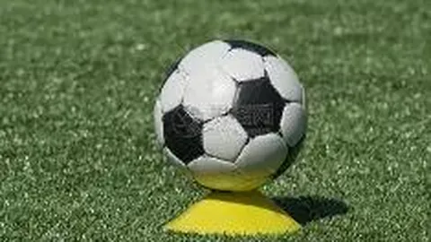 平博体育 产品 124734 bkf