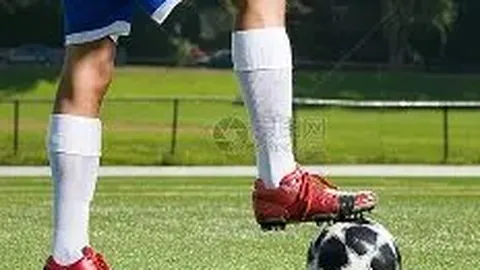 平博体育 资讯 103331 7wd