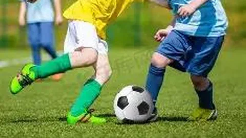 平博体育 产品 103332 1n4